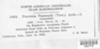 Image Associated With the Occurence